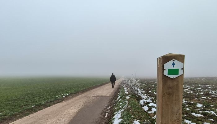 wandelen sneeuw